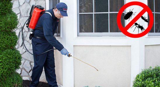 Uluborlu Dezenfeksiyon böcek ilaçlama ve haşere kontrolü — ilaclama-tr.com